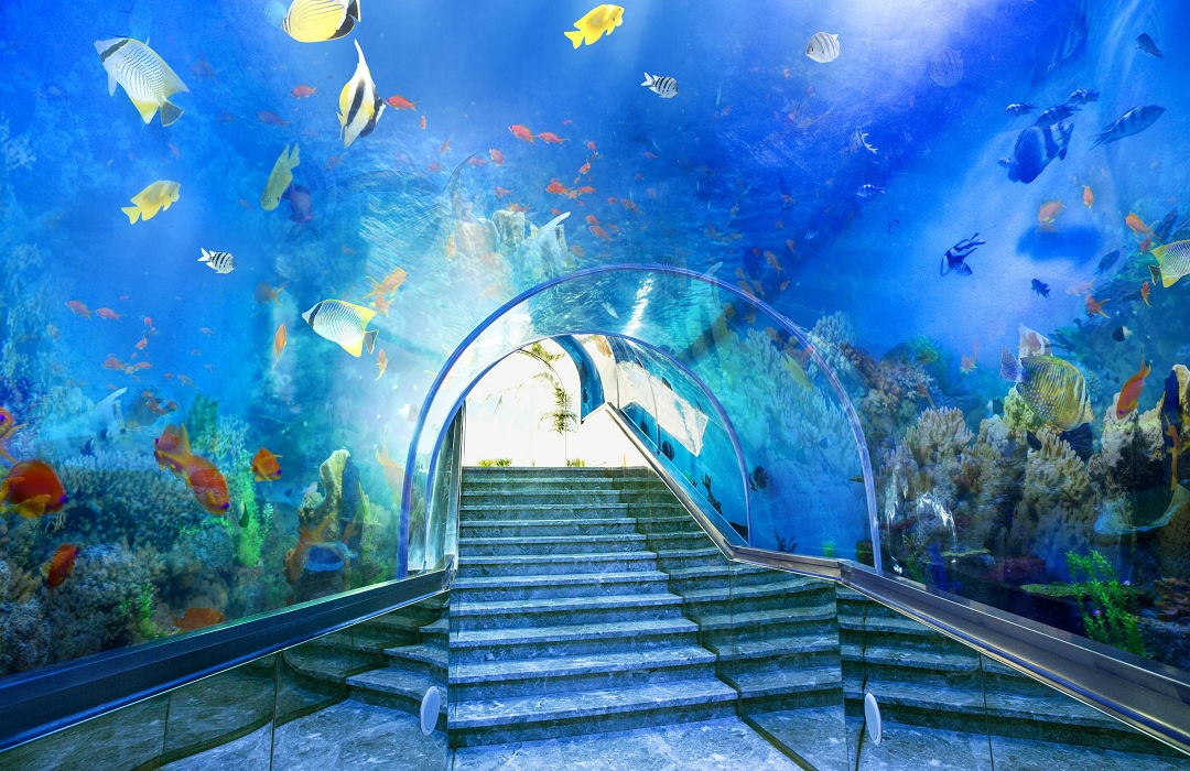 J'taime underwater restaurant in Sanya, Hainan, China